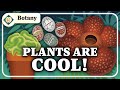 What Is Botany Crash Course Botany 1