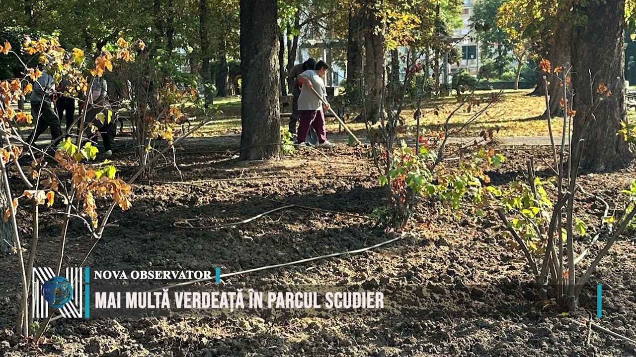 Mai multă verdeață în Parcul Scudier