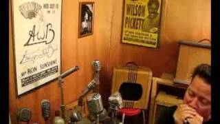 Video thumbnail for Shaker Dynamic Bullet Harp Mic by GoldenBug