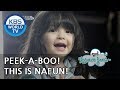 Naeun S House 1 Hello This Is Naeun The Return Of Superman 2018 08 26