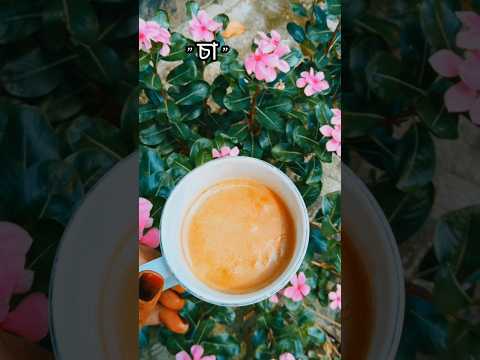 Tea time by @tanzilasampa |#viral #morning #teatime #reels #reelsvideo #nature #naturelovers #bd