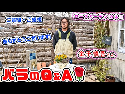 ゴールドフィンチを惹きつける植物はどれですか?よく行く環境を再現するための 5 つのアイデア  庭園