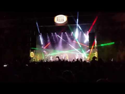 Brains nyárzáró Budapest Park 2016.09.22. Punnany Papp Szabi partizán