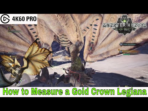 Monster Hunter: World - How to Measure a Gold Crown Legiana Video