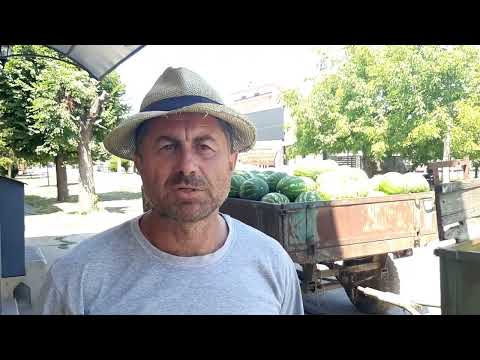 MACARENA F1 - Branislav Stanisavljević, Pećinci