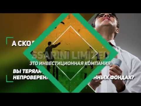 #SSARINI_LIMITED – инвестиционная компания