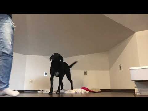 Komenda „na miejsce”