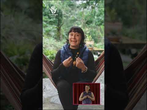 Proyecto Ruby Del Alma En L Chagra Holística
