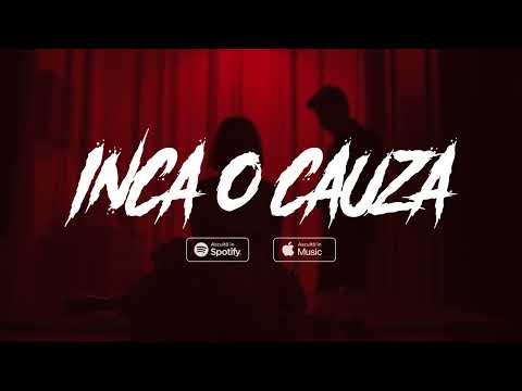 Dubludi - Inca o cauza