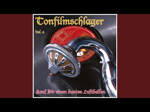 Bin kein Hauptmann, bin kein grosses Tier