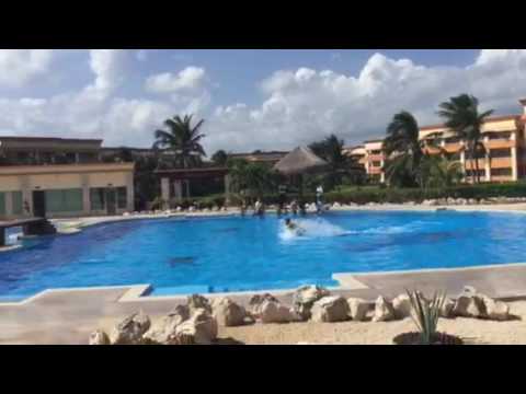 Luxury Grand Bahia Tulum dolphin ride Tristan