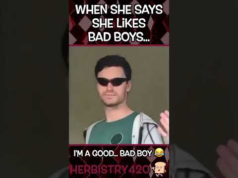 She Likes Bad Boys Meme — 5 Stoner Rebel Truths