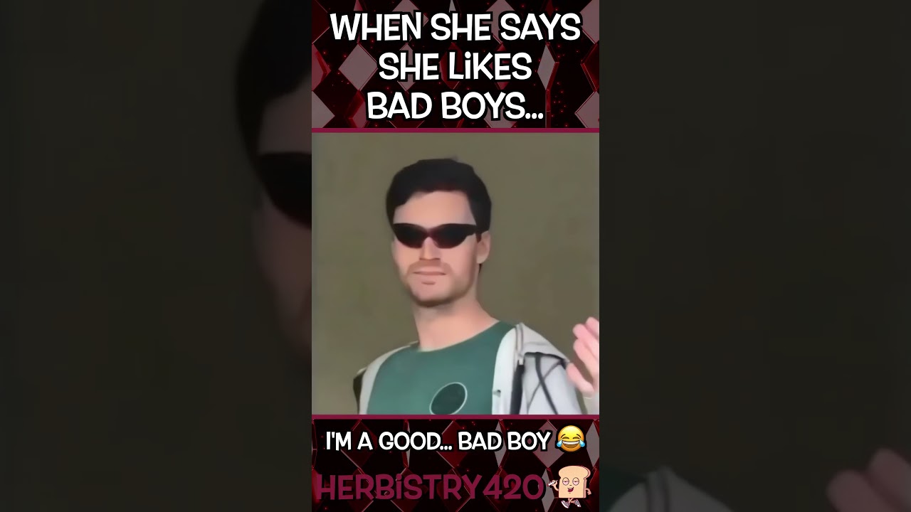 She Likes Bad Boys Meme — 5 Stoner Rebel Truths