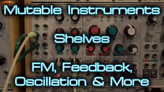 Video thumbnail for Mutable Instruments - Shelves FM, Feedback, Oscillation & More by DivKid