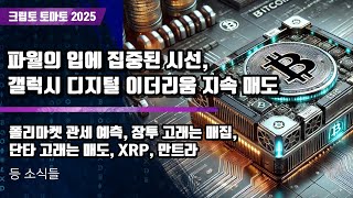 크립토 토마토