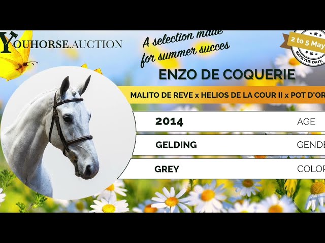 Enzo de Coquerie showvideo outdoor