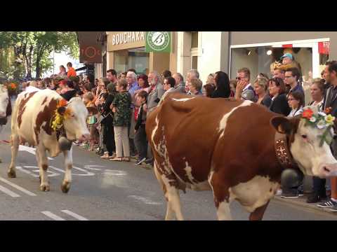 download lagu mp3 mp4 Retour Des Alpages Annecy, download lagu Retour Des Alpages Annecy gratis, unduh video klip Retour Des Alpages Annecy