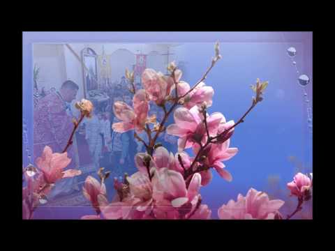 Părintele Ovidiu-Ciprian Marţiş: Priceasna „Sub cruce vin, Iisuse, iar"