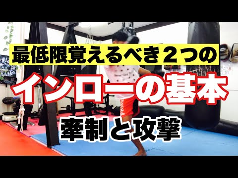【実No.55】最低限覚えるべき２つのインローの基本！牽制と攻撃【キックボクシング実戦テクニック】