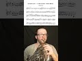 Mahler 1 - Finale from the 1st Mvt || French Horn Cover