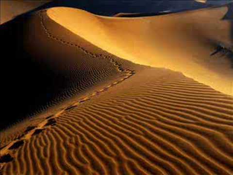 Etnosphere - Sands of Evolution (Paul Vinitsky Remix)