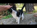Tuxie Came Running To Us And Jumped On The Wall To Get Closer To Us