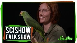 Telepathic Rats and a Red-lored Amazon: SciShow Talk Show #10