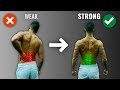 How To Get A Strong Lower Back The RIGHT Way 4 Must Do Exercises
