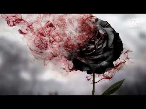 O Crazy Minnal song | Movie: Naduvula Konjam Pakkatha Kanom | Vijay Sethupathi