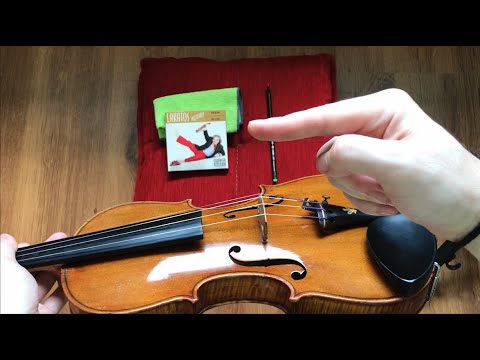 MI-AM SCHIMBAT CORZILE LA VIOARĂ