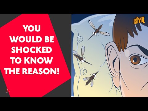 Why Do Mosquitoes Buzz Close To Our Ears?
