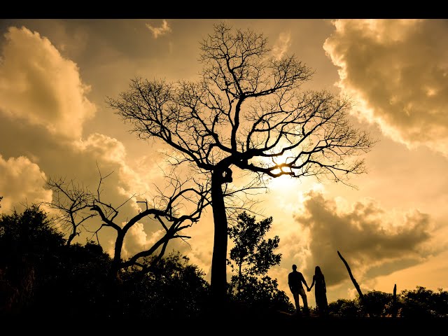 Fenix Arte Foto | Pré Wedding 
#fenixartefoto