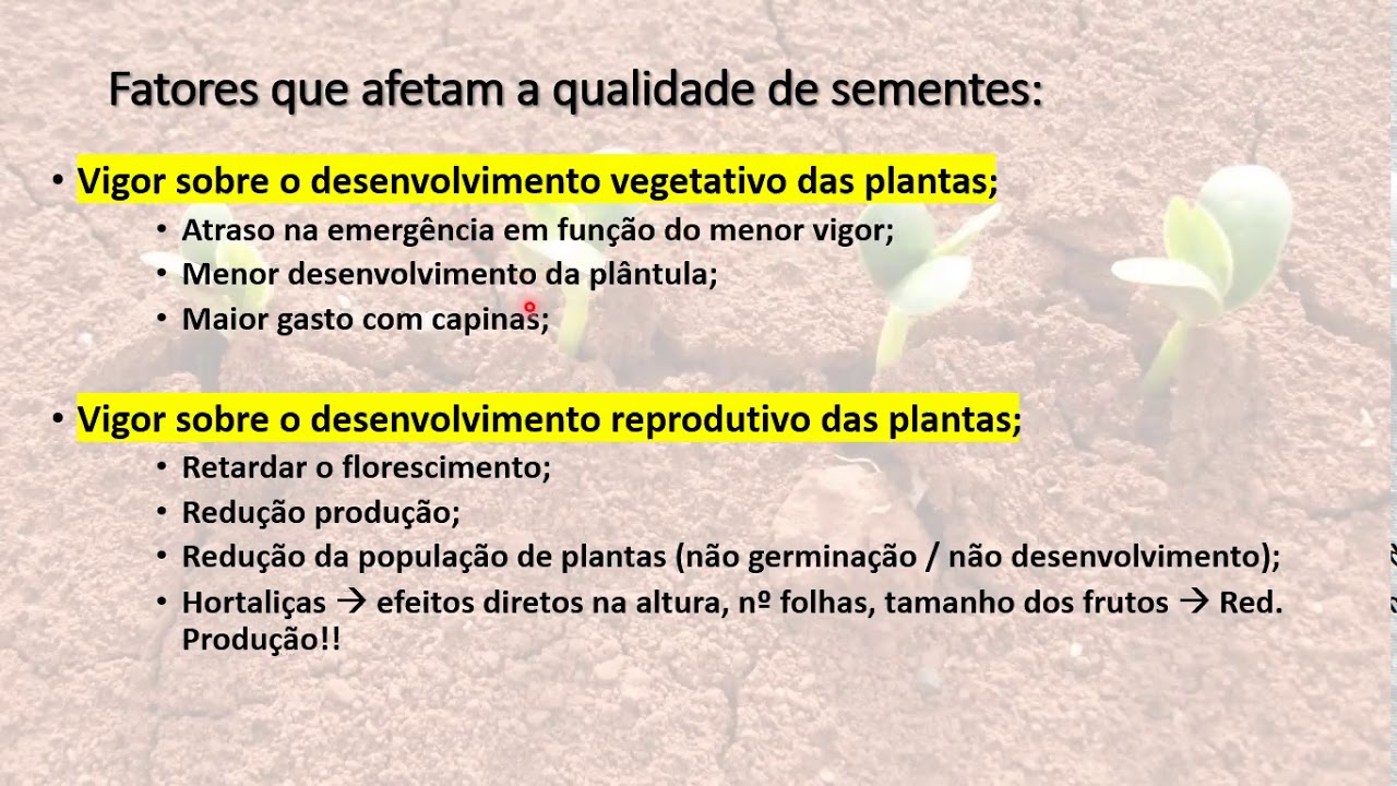 AULA 01 FATORES QUE AFETAM A QUALIDADE DE SEMENTES