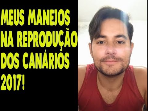 Meus Manejos na Reprodução 2017 (Live)!