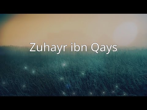 Zuhayr ibn Qays