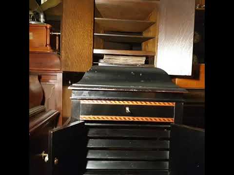 She's A Gorgeous Thing. Sweet and Low Duettists. Regal 78rpm. Kalophone Gramophone Phonograph