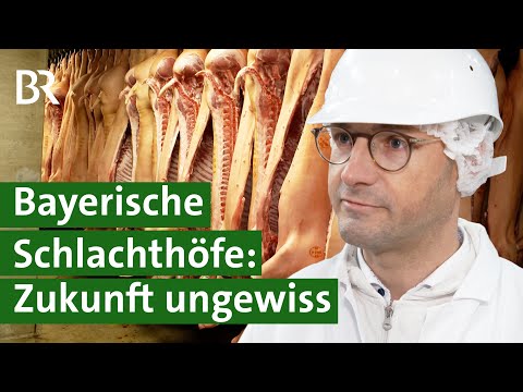 Ungewisse Zukunft: Viele regionale Schlachthöfe vor dem Aus? | Unser Land | BR