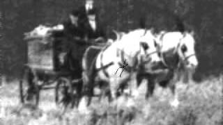 John Lee Hooker - Two White Horses