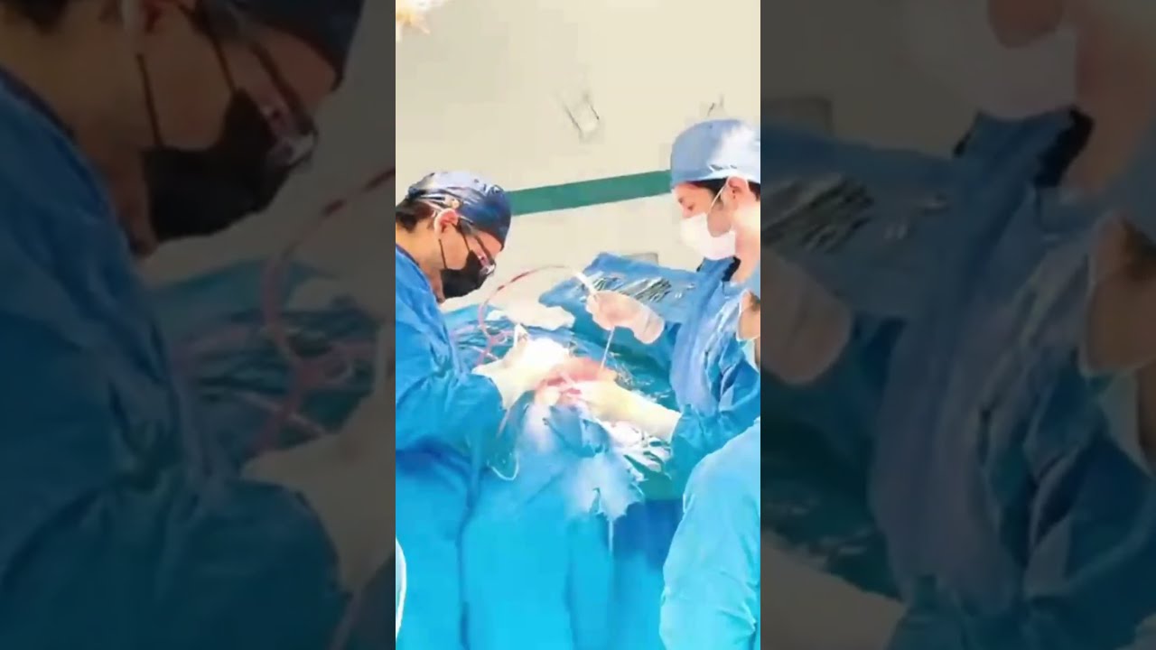 Gustavo Juarez Jimenez-17