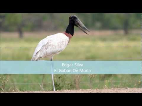 Edgar Silva - El Gabán De Moda