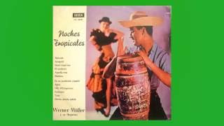 Werner Müller -  Poinciana