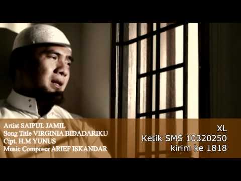 SAIPUL JAMIL - VIRGINIA BIDADARIKU