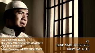 Download lagu SAIPUL JAMIL - VIRGINIA BIDADARIKU mp3