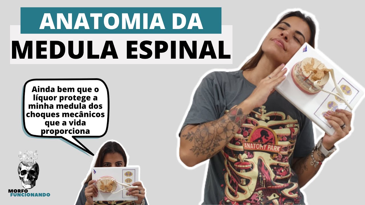 ANATOMIA DA MEDULA ESPINAL, MENINGES ESPINAIS E ESPAÇOS MENÍNGEOS #3