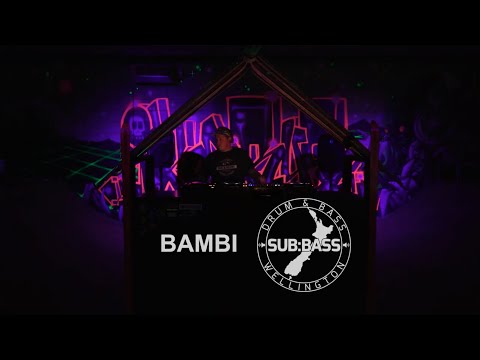 SUB:BASS Bambi | inHAUS sessions - vol. 01 - ep. 06