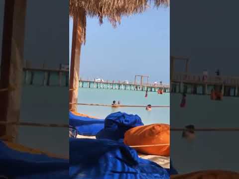 #minivlog #reels #shortvideo #shaima  #volg #sea #youtube #explore #like #enjoy #subscribe #shorts