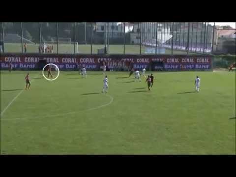 Amar Zildzovic 2013/2014 | Midfielder - Playmaker