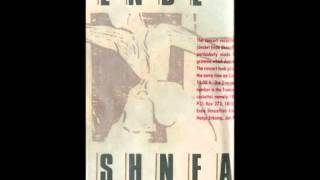 Ende Shneafliet  - Virgin P