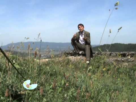 Hrustan Nocic - Nemoj zalit suzama - (Official video)