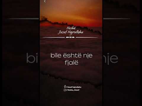 Hoxh Jusuf Hajrullahu - zinaja eshte borxh